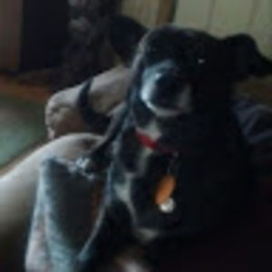 Meet your Posher, Charlie